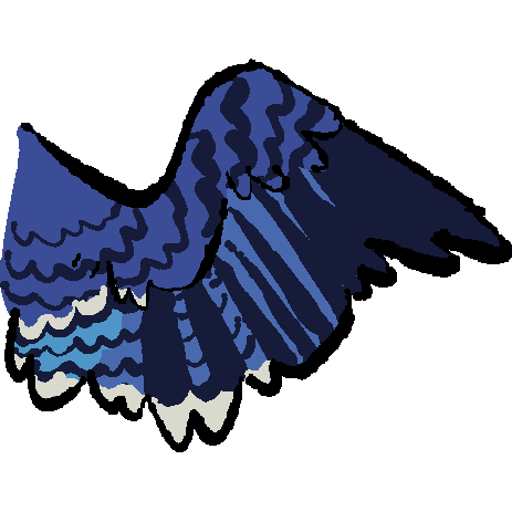 a blue bird wing. the feathers are striped darker blue, and the ones closer to the tip of the wing are darker blue. the secondaries are lighter blue, and the tips of those feathers are white